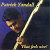Patrick Yandall - That Feels Nice!
