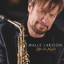 Walle Larsson - After the Night