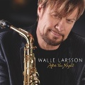 Walle Larsson - After the Night